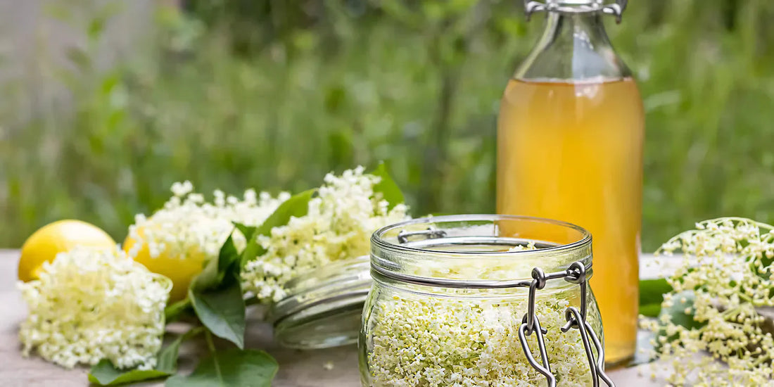 Bazový sirup – letní rodinná tradice