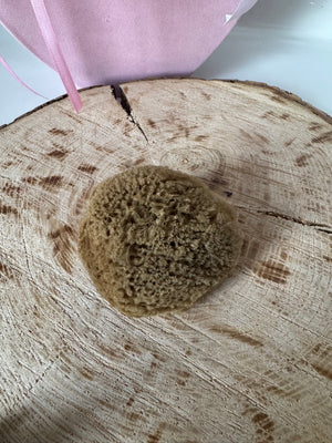 Minerální mořská houba