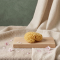Prírodná morská kozmetická špongia