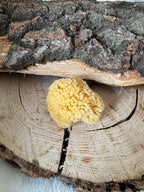 Minerální mořská houbička